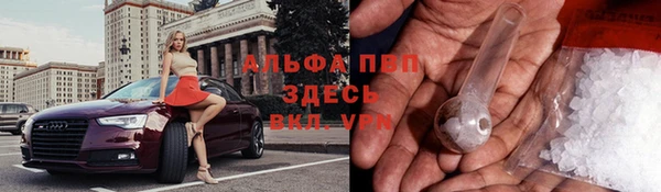 мяу мяу мука Каменногорск