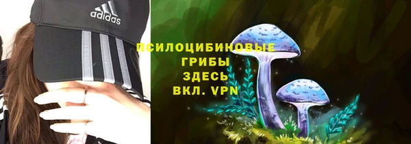 мяу мяу мука Каменногорск