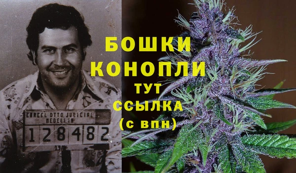 мяу мяу мука Каменногорск
